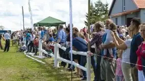 Zdjęcia: Zimnokrwiste rozgrzały serca publiczności - zdjęcie 7