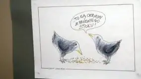 Zdjęcia: Ryn obchodził swoje święto - zdjęcie 17