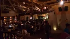 Zdjęcia: Śpiew, harmonijka, gitary i skrzypce w Tawernie Albatros - zdjęcie 1