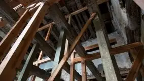 Zdjęcia: STN:ORT Pałac Festiwal. Niesamowite spotkania w historycznym miejscu - zdjęcie 16