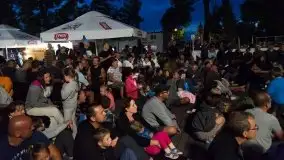 Zdjęcia: Szanty, irlandzki folk i bluegrass na sztynorckiej scenie  - zdjęcie 16