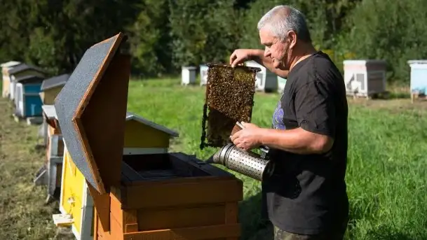 Zdjęcia: Odwiedzamy leśną pasiekę, czyli Mazury na słodko - zdjęcie 4