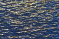 Zdjęcia: Miłośnicy Mazur - Maison du Temps - "Mazury na piechotę" - zdjęcie 7