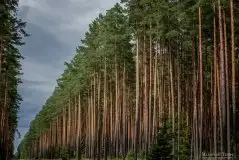 Zdjęcia: Miłośnicy Mazur - Maison du Temps - "Mazury na piechotę" - zdjęcie 2