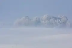 Z zamiłowania do przyrody, w fotografii Mariusza Kulisia - zdjęcie 2