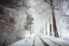 Z zamiłowania do przyrody, w fotografii Mariusza Kulisia - zdjęcie 4