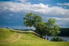 Z zamiłowania do przyrody, w fotografii Mariusza Kulisia - zdjęcie 9