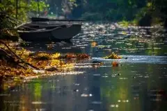 Z zamiłowania do przyrody, w fotografii Mariusza Kulisia - zdjęcie 18