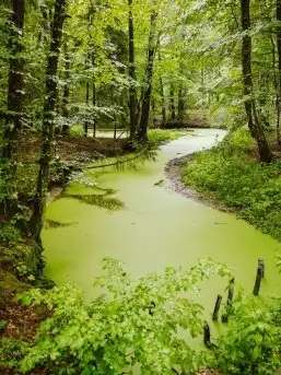 Z zamiłowania do przyrody, w fotografii Mariusza Kulisia - zdjęcie 19