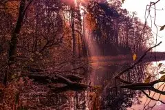 Zdjęcia: Miłośnicy Mazur - Pasja Fotografii w galerii Tomasza Ziółkowskiego - zdjęcie 28