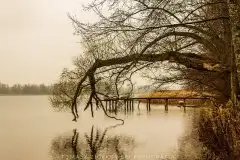 Zdjęcia: Miłośnicy Mazur - Pasja Fotografii w galerii Tomasza Ziółkowskiego - zdjęcie 17