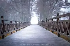 Zdjęcia: Miłośnicy Mazur - Pasja Fotografii w galerii Tomasza Ziółkowskiego - zdjęcie 12