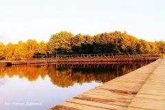 Zdjęcia: Miłośnicy Mazur - Pasja Fotografii w galerii Tomasza Ziółkowskiego - zdjęcie 11