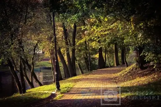 Zdjęcia: Miłośnicy Mazur - Pasja Fotografii w galerii Tomasza Ziółkowskiego - zdjęcie 5