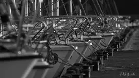 Zdjęcia: Miłośnicy Mazur - magia w zdjęciach Grzegorza - zdjęcie 37