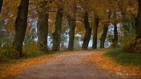 Zdjęcia: Miłośnicy Mazur - magia w zdjęciach Grzegorza - zdjęcie 21