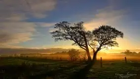 Zdjęcia: Miłośnicy Mazur - magia w zdjęciach Grzegorza - zdjęcie 17