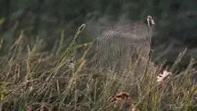 Zdjęcia: Miłośnicy Mazur - magia w zdjęciach Grzegorza - zdjęcie 12