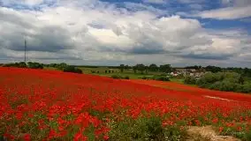 Zdjęcia: Miłośnicy Mazur - magia w zdjęciach Grzegorza - zdjęcie 9