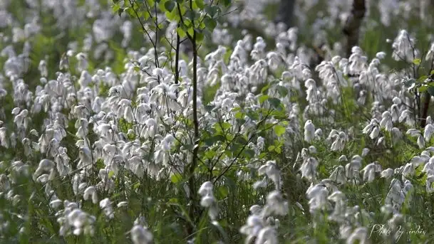 Zdjęcia: Miłośnicy Mazur - magia w zdjęciach Grzegorza - zdjęcie 4