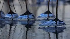 Zdjęcia: Miłośnicy Mazur - magia w zdjęciach Grzegorza - zdjęcie 2