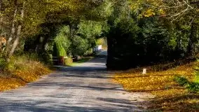 Zdjęcia: Miłośnicy Mazur - Zwykłe, czy niezwykłe... życie - zdjęcie 37