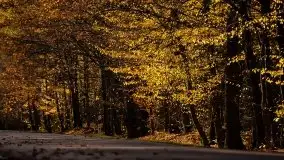 Zdjęcia: Miłośnicy Mazur - Zwykłe, czy niezwykłe... życie - zdjęcie 36