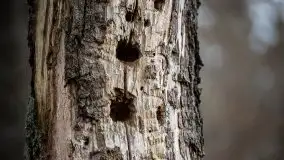 Zdjęcia: Miłośnicy Mazur - Zwykłe, czy niezwykłe... życie - zdjęcie 25