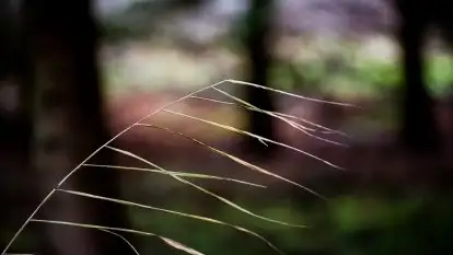 Zdjęcia: Miłośnicy Mazur - Zwykłe, czy niezwykłe... życie