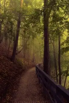 Zdjęcia: Miłośnicy Mazur - Olecko i okolice na zdjęciach Justyny - zdjęcie 19