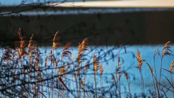 Zdjęcia: Ferie za pasem a zasp ze śniegu nie widać - zobacz zdjęcia - zdjęcie 9