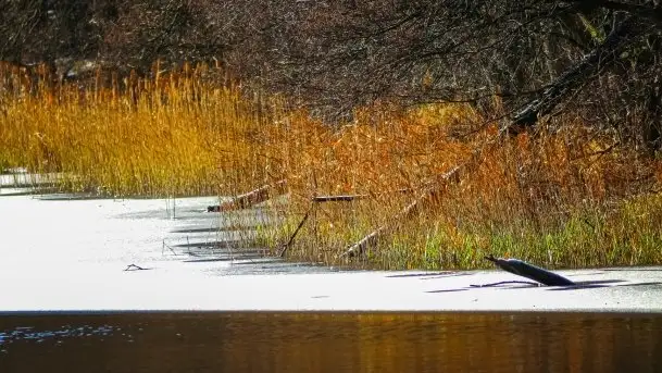 Zdjęcia: Ferie za pasem a zasp ze śniegu nie widać - zobacz zdjęcia - zdjęcie 7