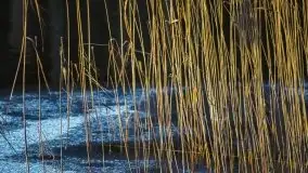 Zdjęcia: Ferie za pasem a zasp ze śniegu nie widać - zobacz zdjęcia - zdjęcie 4