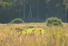 Zdjęcia: Miłośnicy Mazur - zobacz piękno niesamowitej mazurskiej przyrody - zdjęcie 33