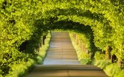 Zdjęcia: Miłośnicy Mazur - zobacz piękno niesamowitej mazurskiej przyrody - zdjęcie 17