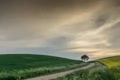 Zdjęcia: Miłośnicy Mazur - zobacz piękno niesamowitej mazurskiej przyrody - zdjęcie 2