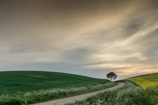 Zdjęcia: Miłośnicy Mazur - zobacz piękno niesamowitej mazurskiej przyrody - zdjęcie 2