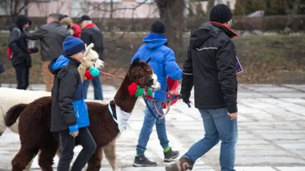 Zdjęcia: Wielka Orkiestra Świątecznej Pomocy „grała” na Mazurach - zdjęcie 9