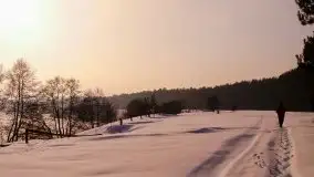 Zima na zdjęciach Tadeusza Sakowskiego - zdjęcie 1
