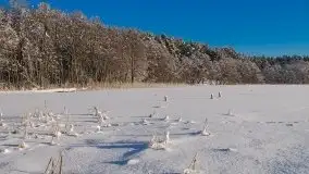 Zima na zdjęciach Tadeusza Sakowskiego - zdjęcie 4