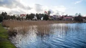 Styczniowe Wydminy bez śniegu w środku zimy - zdjęcie 52