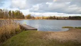 Styczniowe Wydminy bez śniegu w środku zimy - zdjęcie 45