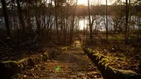 Styczniowe Wydminy bez śniegu w środku zimy - zdjęcie 27