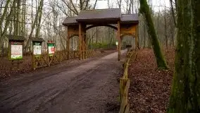 Las miejski w Giżycku, styczeń 2020 - zdjęcie 37