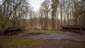 Las miejski w Giżycku, styczeń 2020 - zdjęcie 36