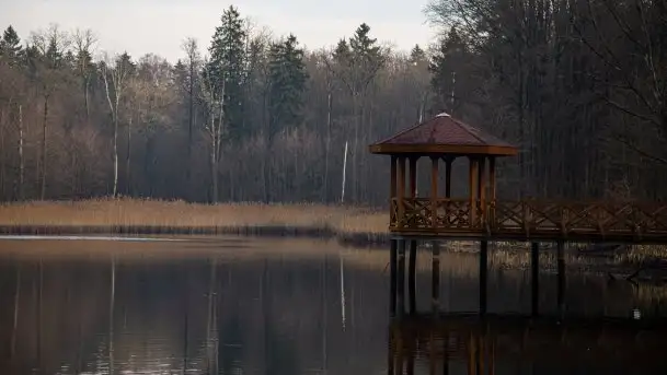 Las miejski w Giżycku, styczeń 2020 - zdjęcie 3