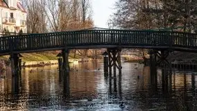 Ełk skąpany w lutowym słońcu - zdjęcie 39