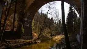 Zdjęcia: Mosty w Botkunach i Kiepojcach - tajemnicze i schowane w lasach - zdjęcie 25