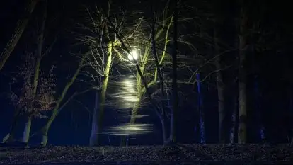 Wieczorne i nocne Giżycko, luty 2020