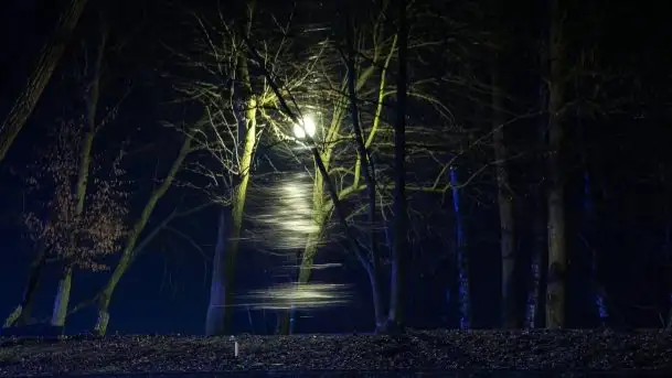 Wieczorne i nocne Giżycko, luty 2020